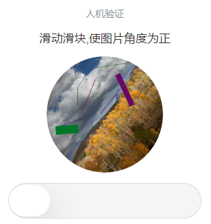 验证码