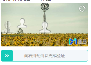 验证码